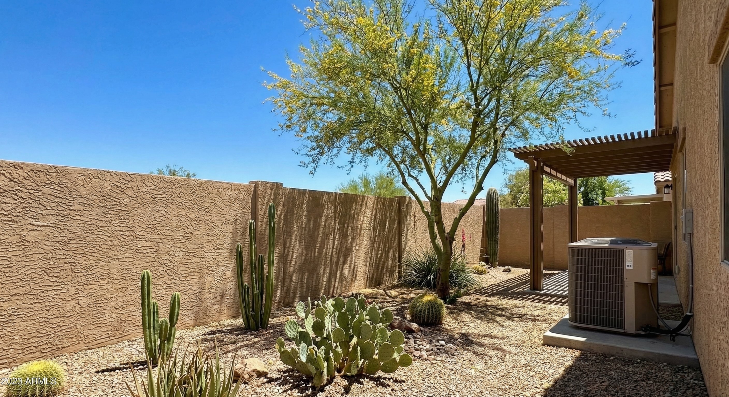 Arizona backyard with stucco wall, desert plants, and residential AC unit running in the shade of a palo verde tree